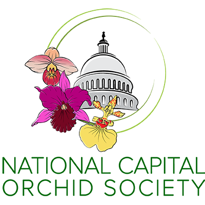 National Capital Orchid Society