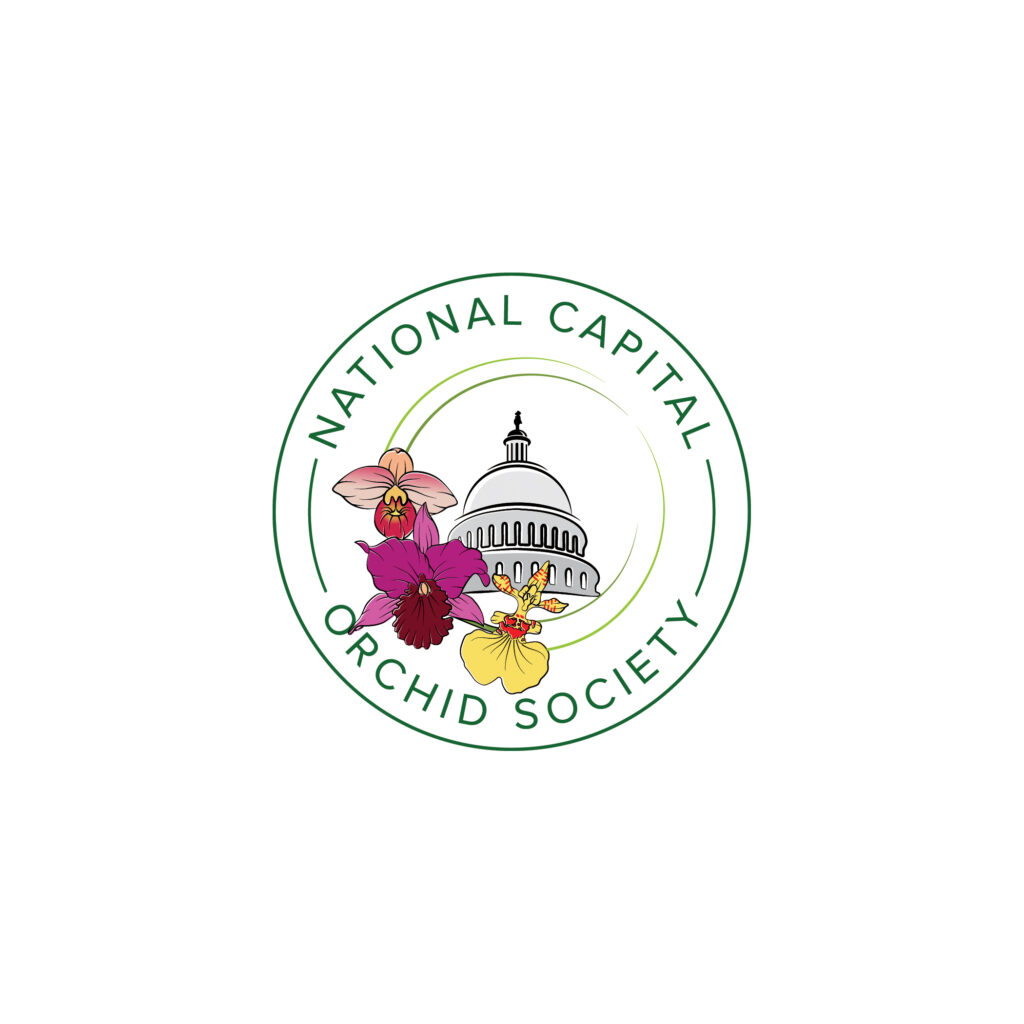 National Capital Orchid Society logo with the capital dome, a pink Phragmipedium flower, a purple Cattleya flower and a yellow Oncidium flower.